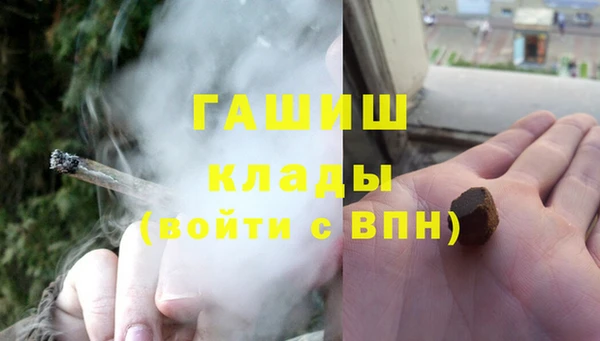 гашик Анжеро-Судженск