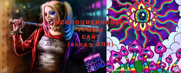 apvp Новозыбков