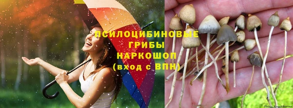 герыч Нефтекумск