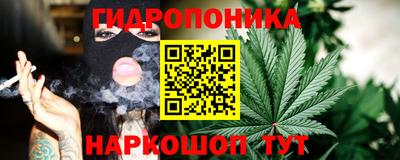 apvp Гай