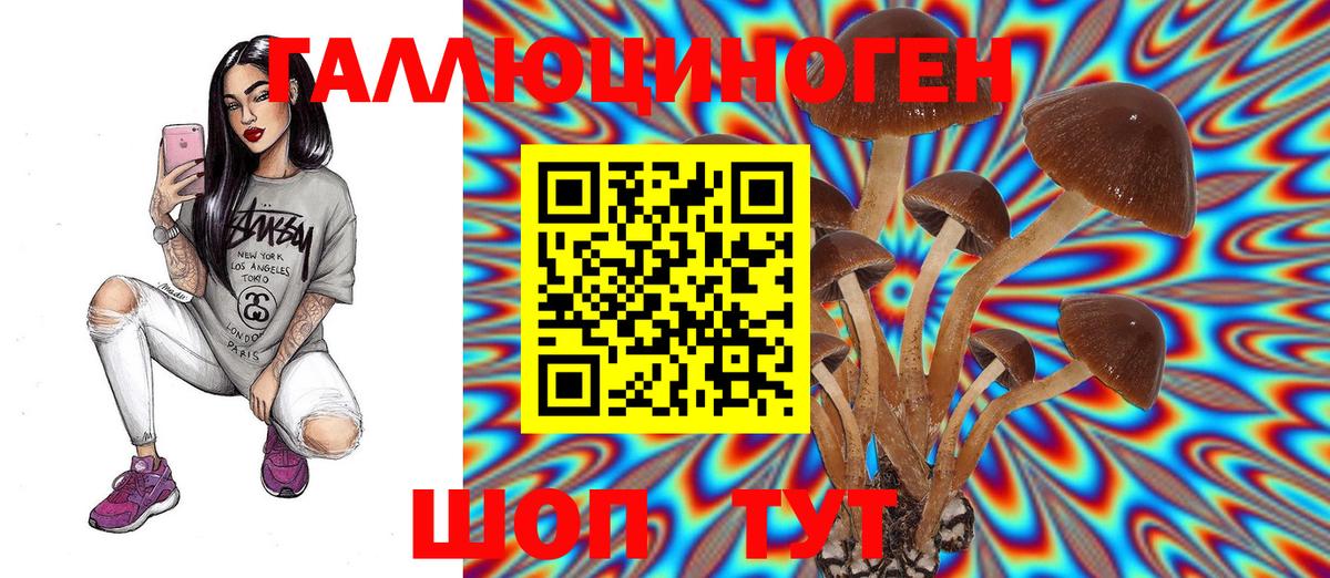 Канабис  ГАШ  Экстази  Cocaine  Меф МЯУ МЯУ кристаллы  Вход с VPN  Новокубанск  ГАШИШ 