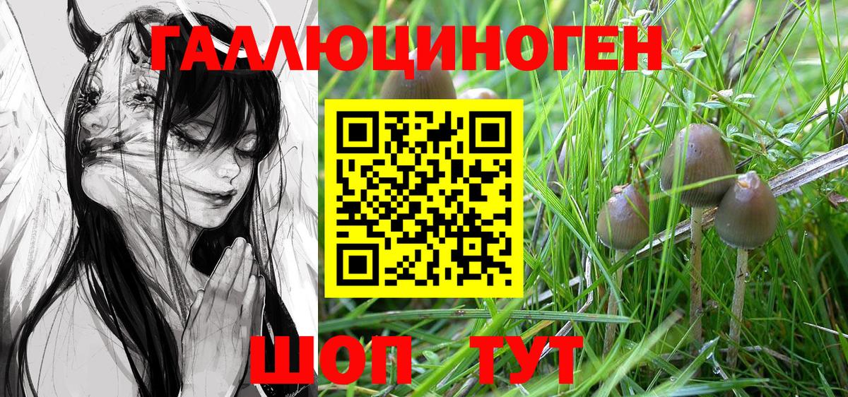 Псилоцибиновые грибы GOLDEN TEACHER  Галлюциногенные грибы прущие грибы  Новокубанск  дарнет шоп  Вход с VPN 