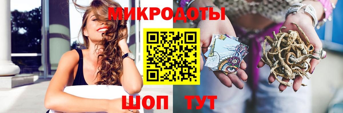 Галлюциногенные грибы Psilocybine cubensis Новокубанск